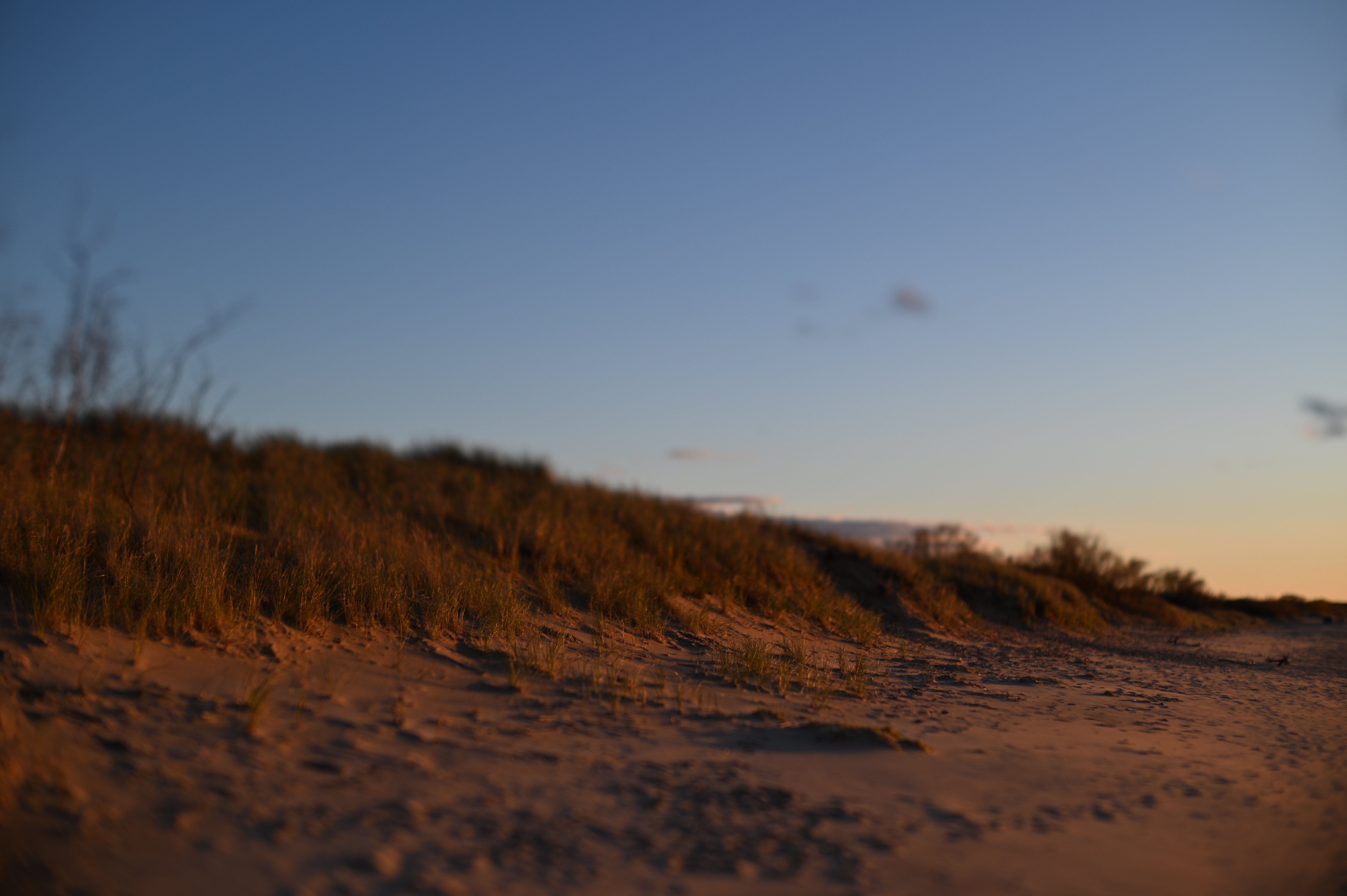 2025/10/18 - walk/DSC_0361.JPG